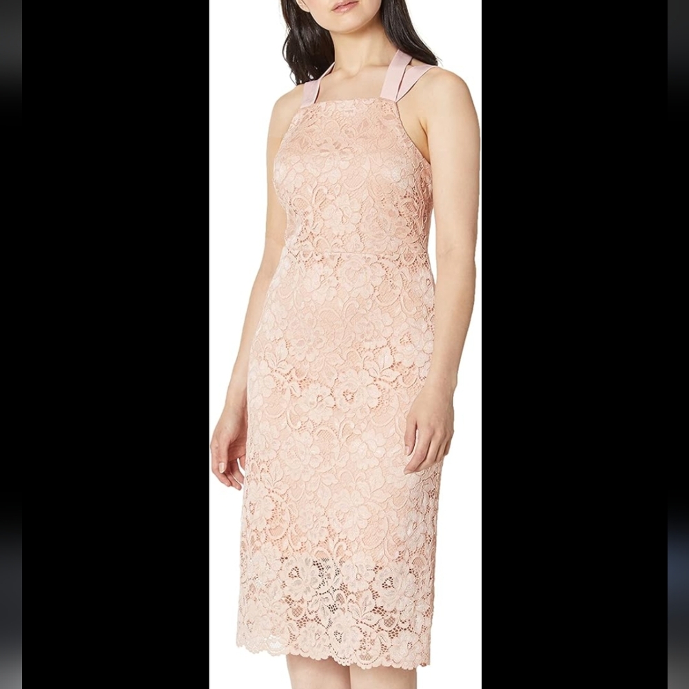 Sam Edelman Women's Sleeveless Lace Thick Strap Midi Dress, Petal Pink Sz 6